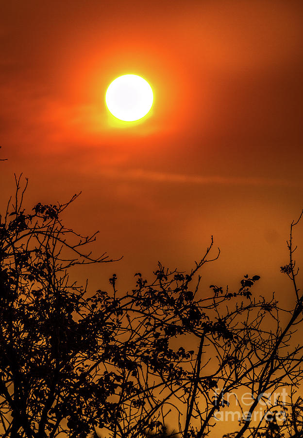 Morning Bright Sun Photograph by Robert Bales - Fine Art America