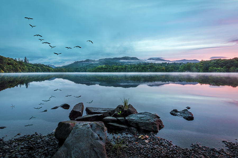 Morning Calm at the Lake Photograph by Debra and Dave Vanderlaan