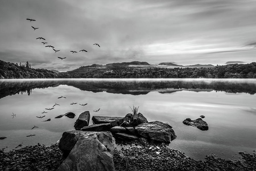 Morning Calm at the Lake in Black and White Photograph by Debra and Dave Vanderlaan