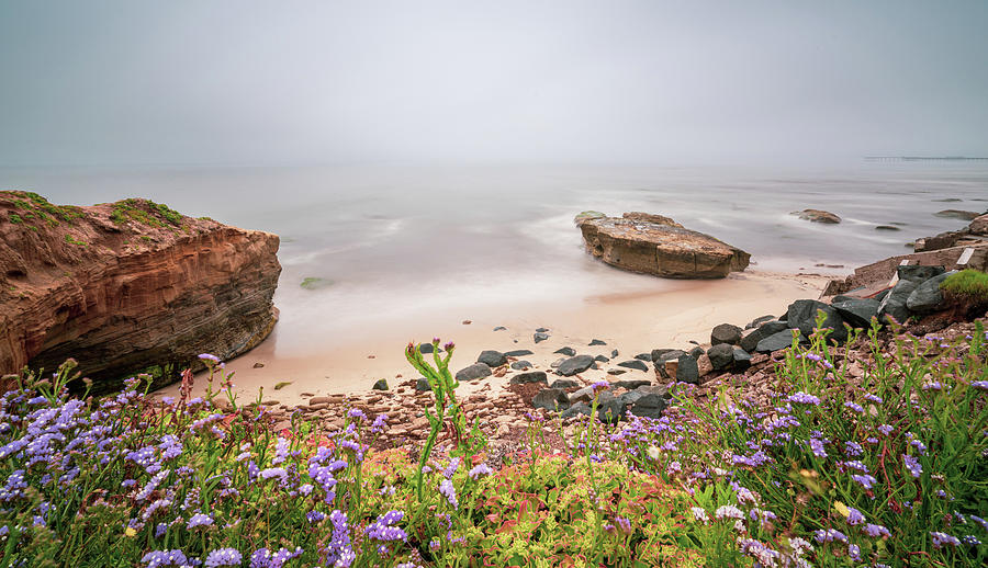 Morning Coastal Mists 1 Photograph by Ryan Weddle
