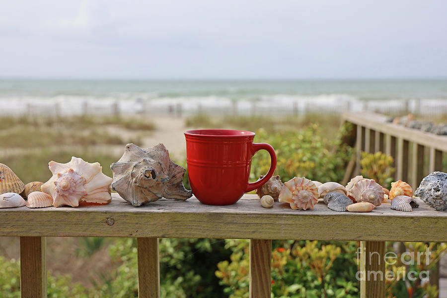 Morning Coffee and Sea Shells  6611 Photograph by Jack Schultz