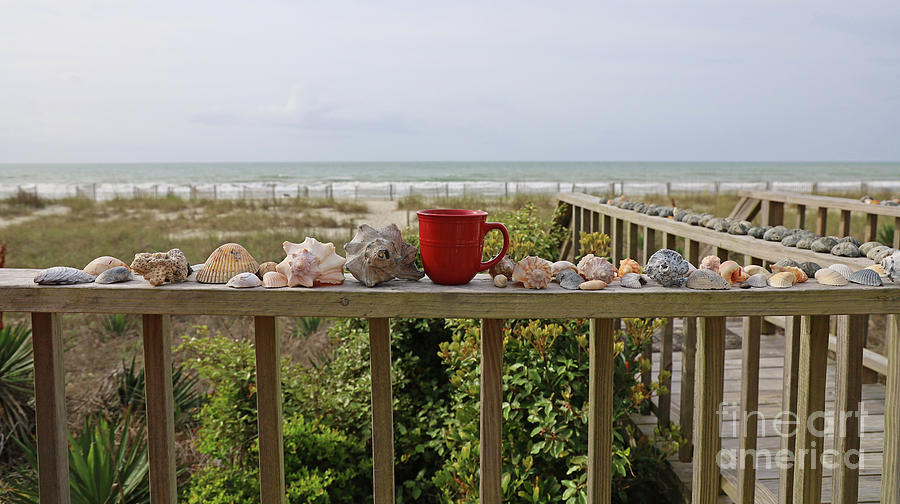 Morning Coffee and Sea Shells  6613 Photograph by Jack Schultz