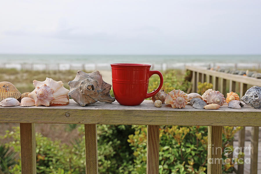 Morning Coffee and Sea Shells  6618 Photograph by Jack Schultz