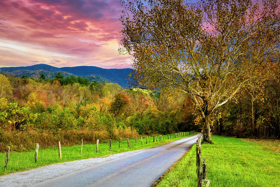 Morning Colors Along Sparks Lane at Cades Cove Photograph by Debra and Dave Vanderlaan