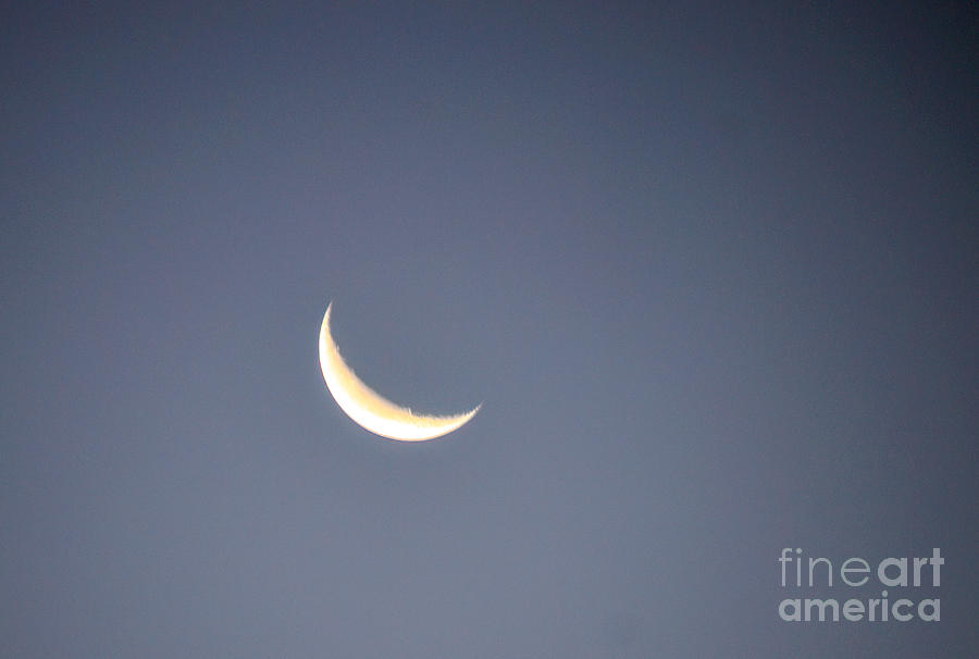 Morning Crescent Moon Photograph