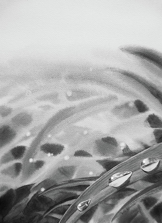Morning Dew In Gray Watercolor Painting by Irina Sztukowski