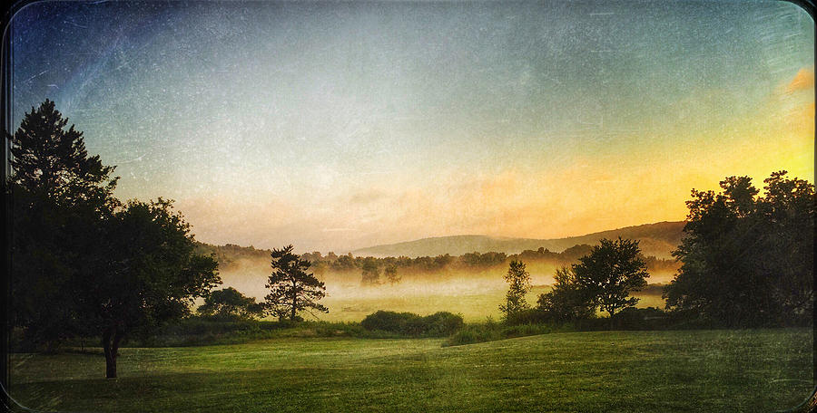 Fog Photograph - Morning Dog Walk 3 by Robert Dann
