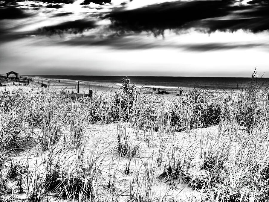 Morning Dune at Beach Haven Photograph by John Rizzuto