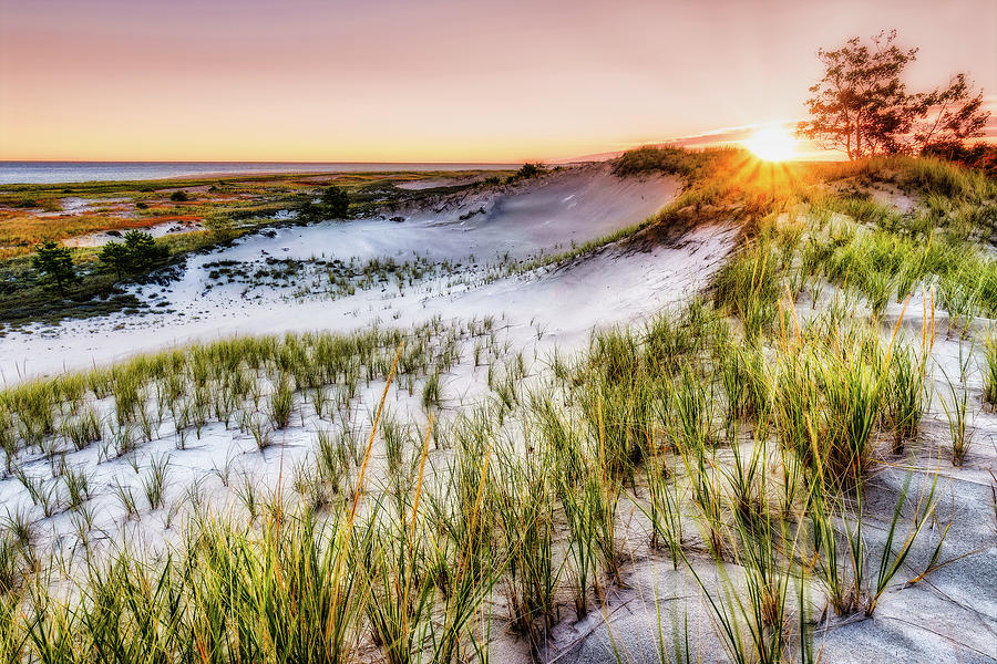 Morning Dunes, Crane Beach Photograph by Michael Hubley