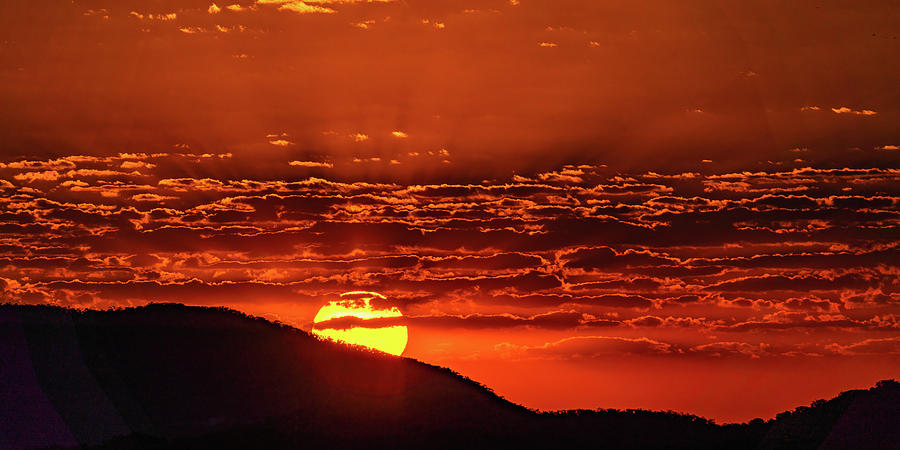 Morning Fireball from Mazatlan Mexico Photograph by Tommy Farnsworth