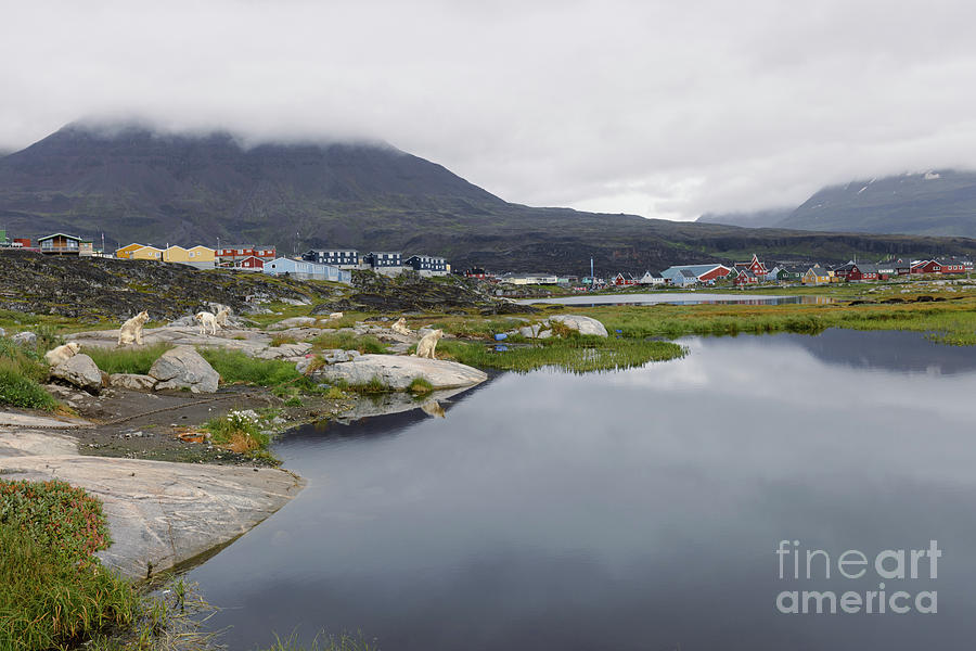 Morning Fog and Reflections in Qeqertarsuaq Photograph by Eva Lechner