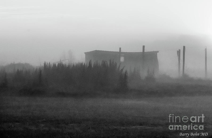 Morning fog  Photograph by Barry Bohn