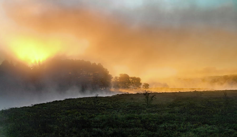 Morning Fog Photograph by David Pratt