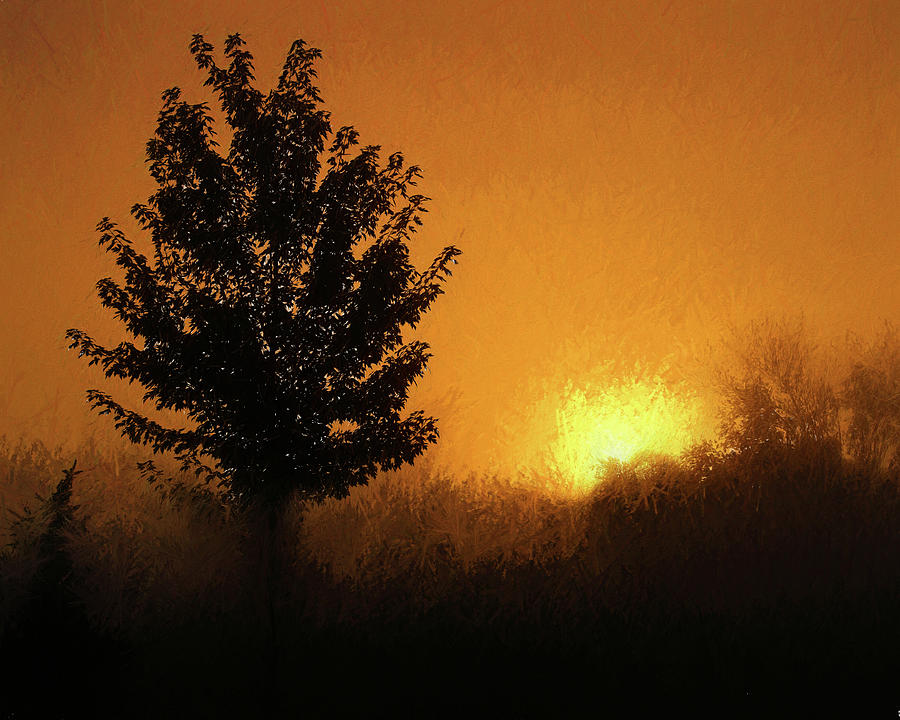 Morning Fog II Art Photograph by Scott Olsen