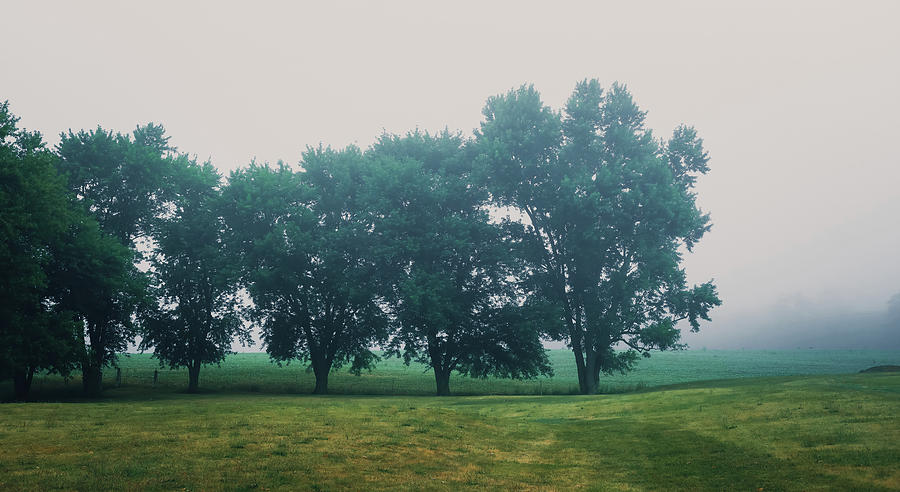 Morning Fog In Rural Ohio Photograph by Dan Sproul