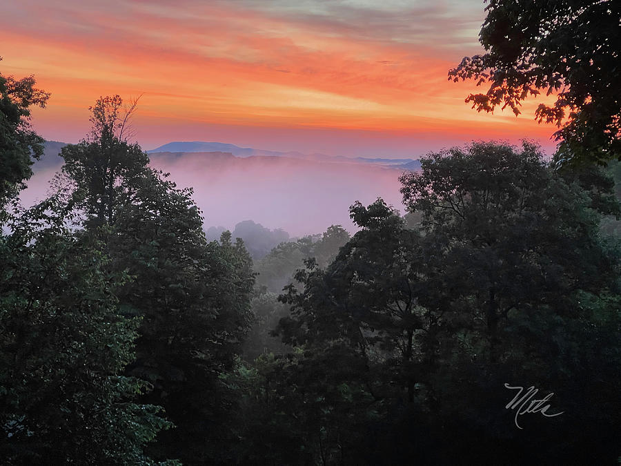 Morning Fog Photograph by Meta Gatschenberger
