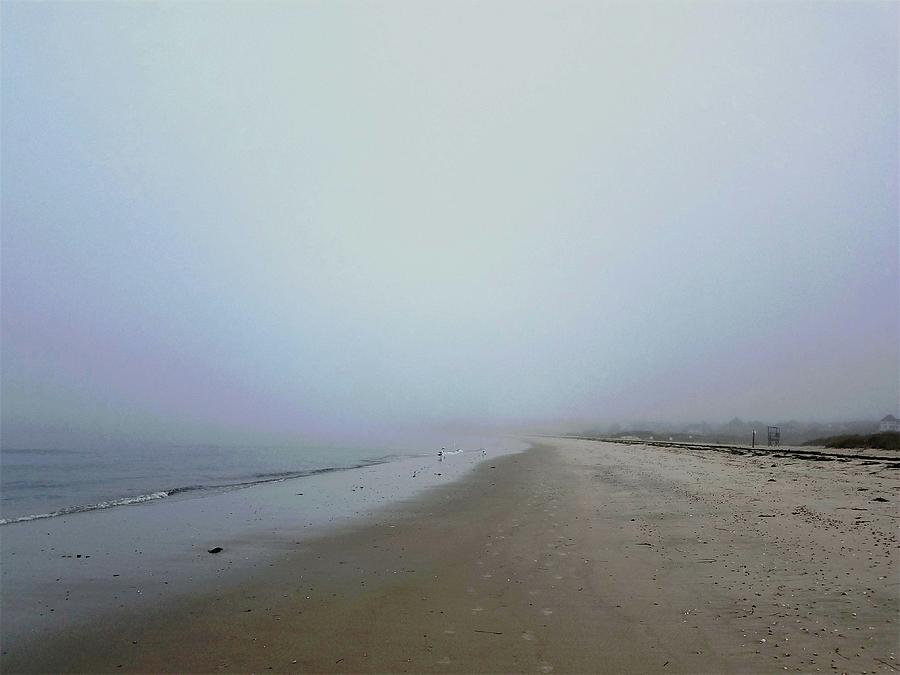 Morning Fog on the Beach Photograph by Sharon Williams Eng