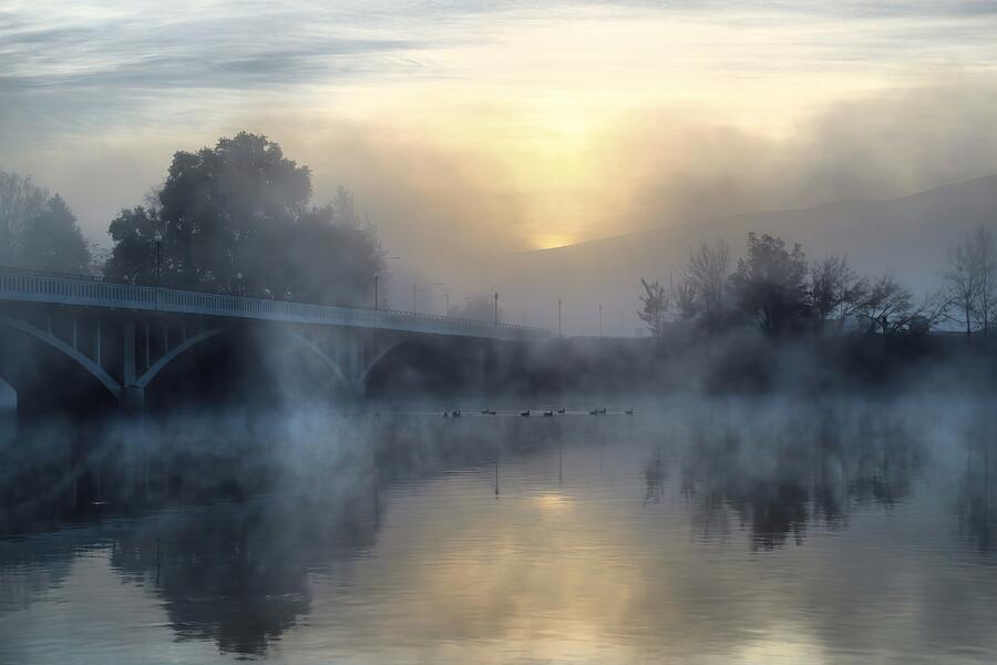 Morning fog on the river Photograph by Lynn Hopwood