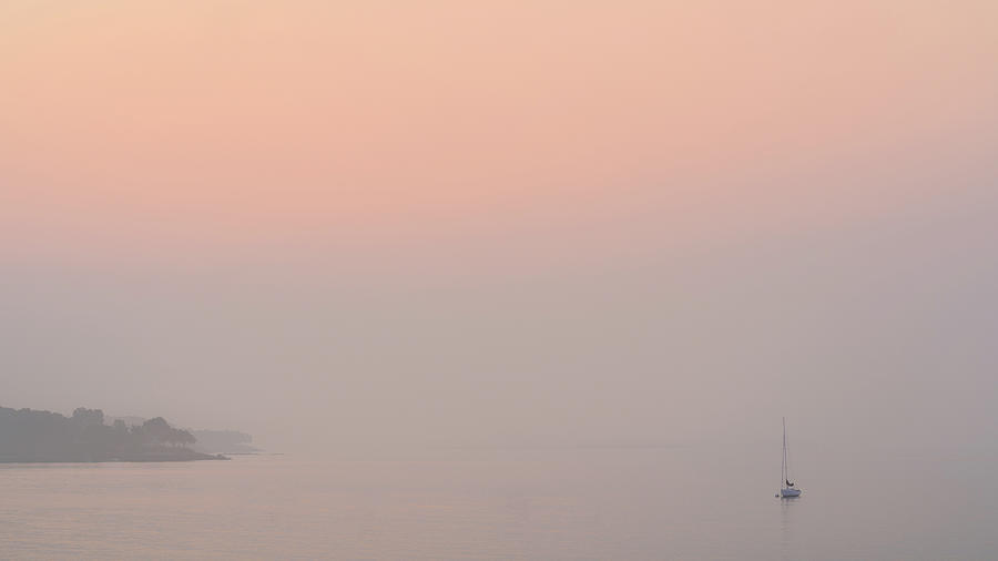 Morning Fog Pastels Photograph by Michael Hubley