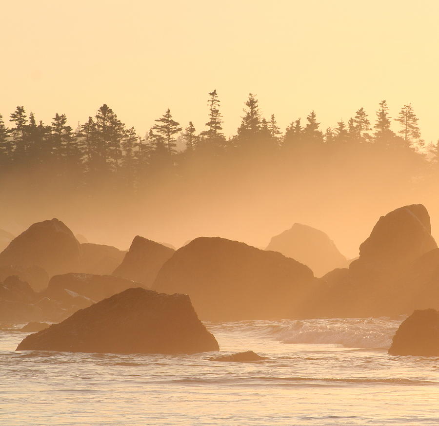 Morning Fog - White Point Beach, Hunts Point, NS Photograph by Trevor ...