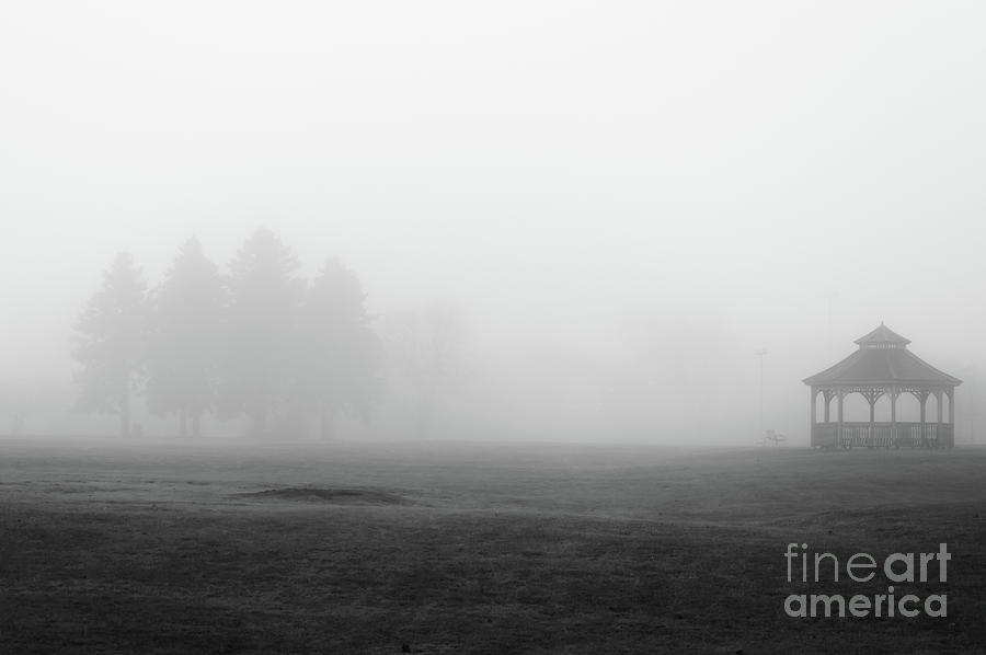 Morning Foggy Park Monochrome Photograph by Helen Filatova - Fine Art ...