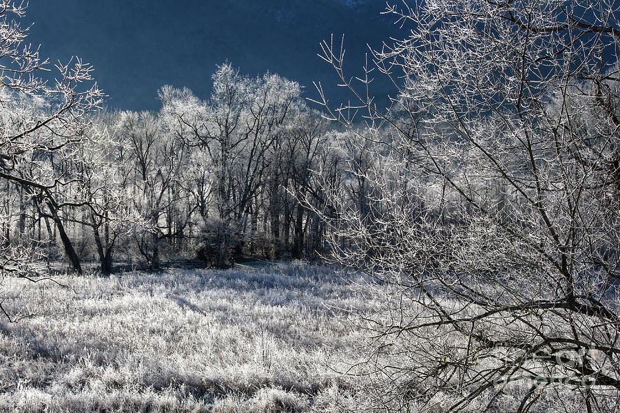 Morning Frost At Cades Cove Photograph by Phil Perkins