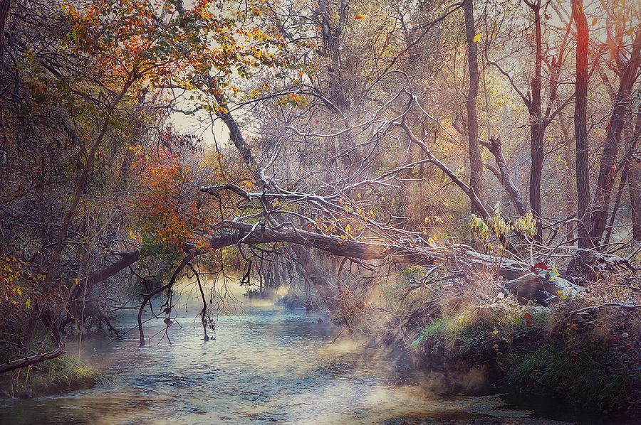 Morning Frost at The Creek  Photograph by Lisa Spencer