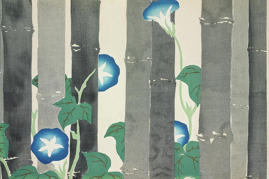 Kamisaka Sekka Painting - Morning glories from Momoyogusa, Flowers of a Hundred Generations by Kamisaka Sekka
