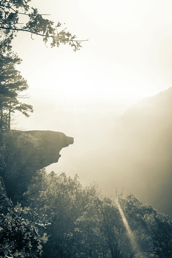 Morning Glory At Hawksbill Crag - Sepia Photograph by Gregory Ballos