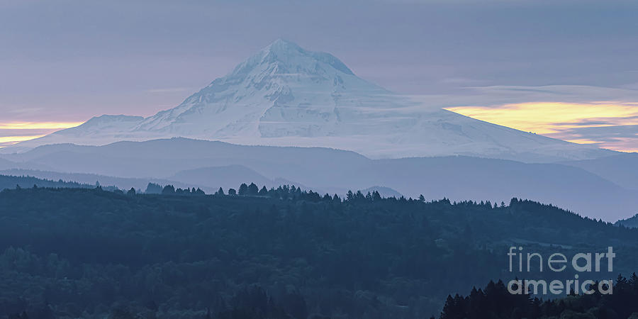 Morning glory at Mt Hood, Oregon Photograph by Henk Meijer Photography