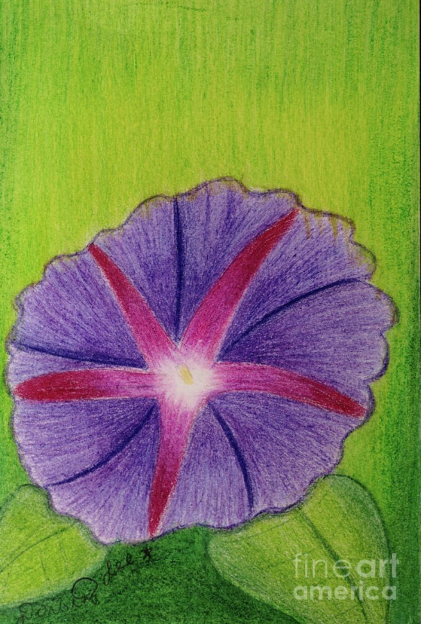 Morning Glory Painting by Dorothy Lee