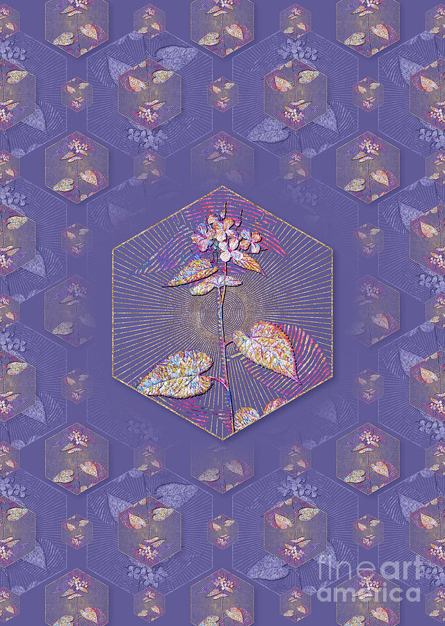 Morning Glory Flower Geometric Mosaic Pattern in Veri Peri n.0251 Mixed Media by Holy Rock Design