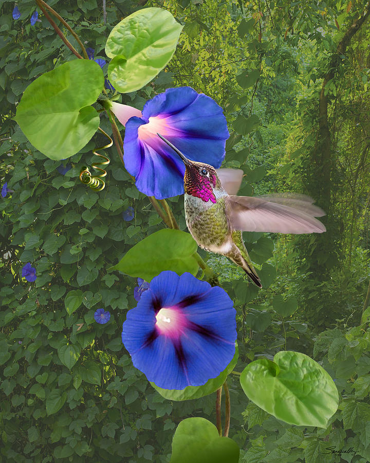 Morning Glory Jungle Digital Art by Spadecaller