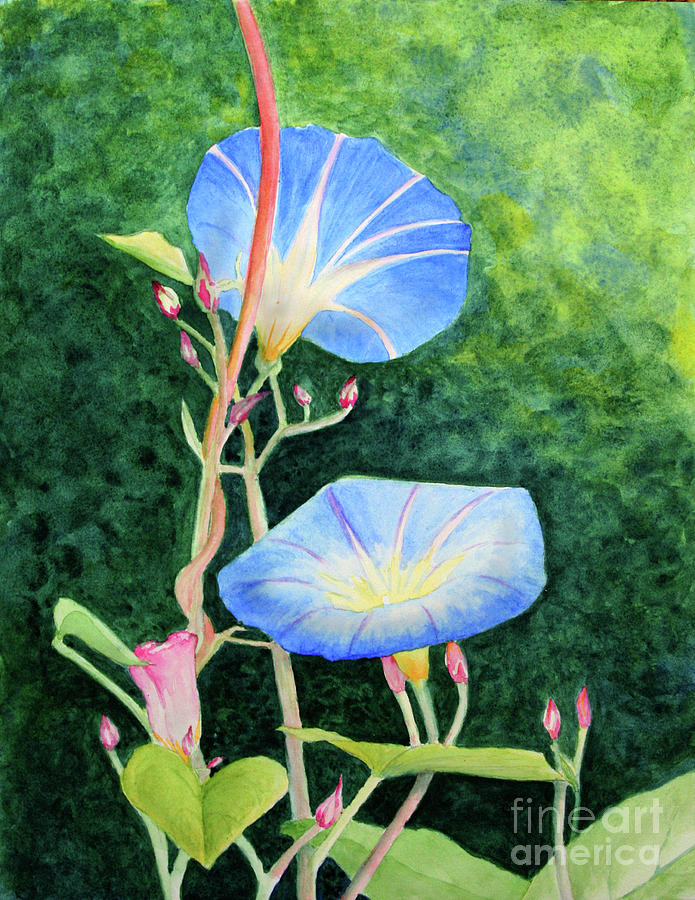 Morning Glory Painting by Mariarosa Rockefeller
