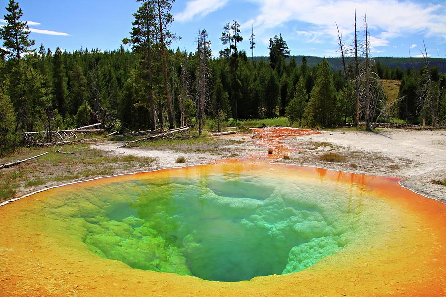 Morning Glory Pool Photograph by Marcelo Albuquerque - Fine Art America