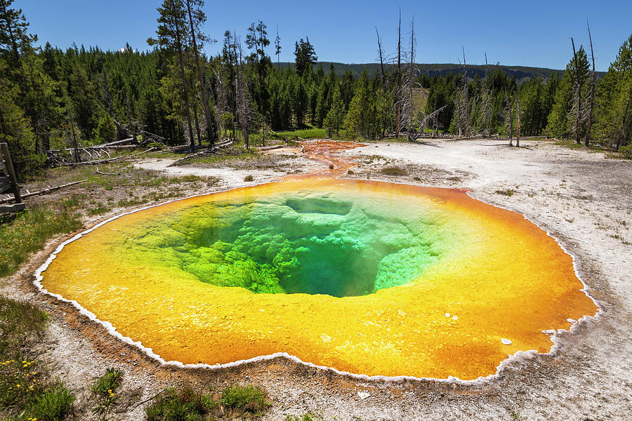 Morning Glory Pool Photograph by Joan Escala Usarralde - Fine Art America