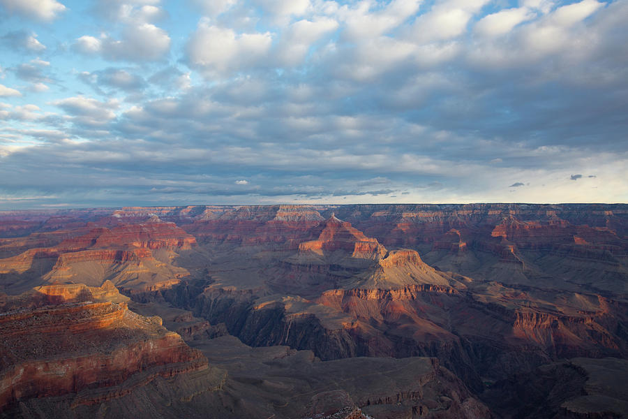 Morning Glory - Yavapai Point, Grand Canyon Photograph by Bridget Calip