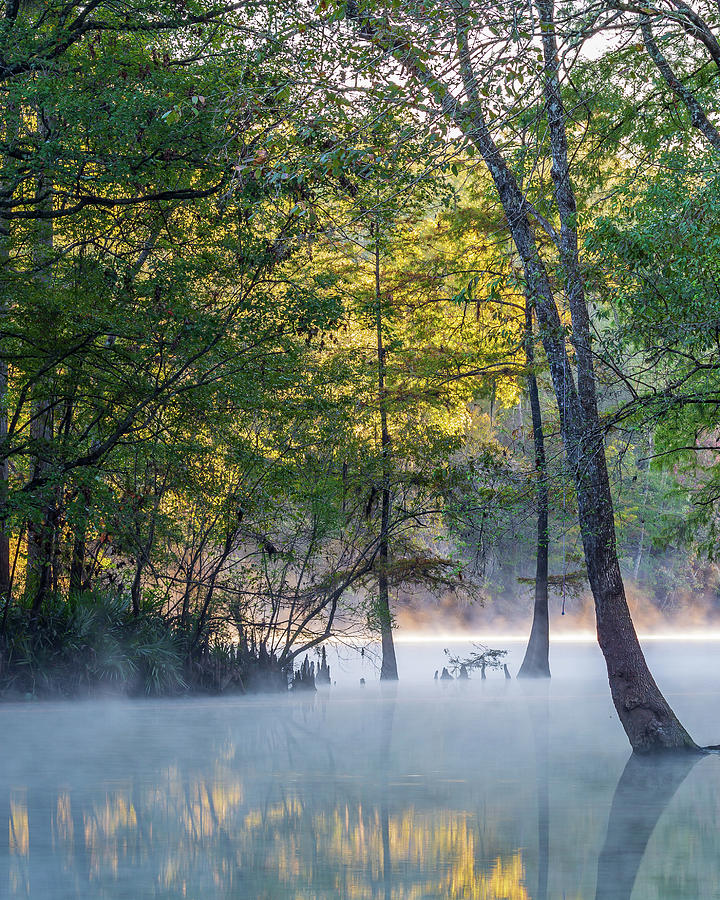 Fall Photograph - Morning Glow at Ginnie Springs III by Stefan Mazzola