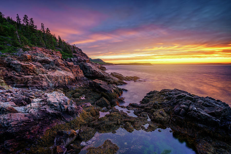 Nature Photograph - Morning Glow from Otter Cliff by Rick Berk
