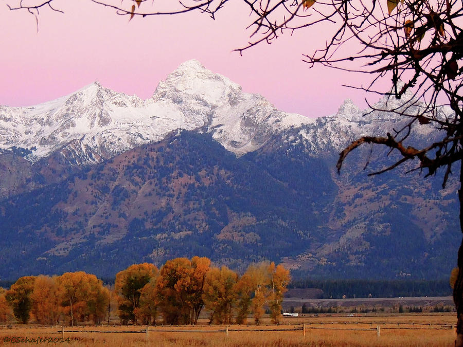 Morning Glow Tetons Photograph by Charlotte Schafer