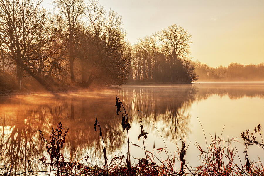 Morning haze on the lake Photograph by Tatiana Travelways