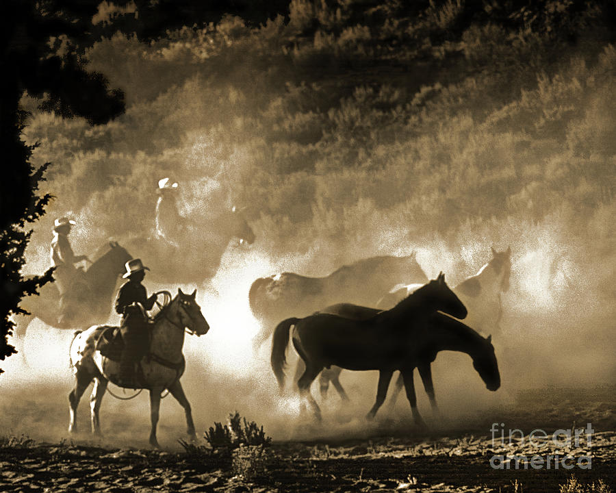 Morning Horse Drive Photograph by Don Schimmel