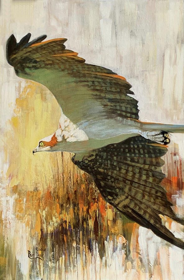 Morning Hunt - Osprey Painting by Ron Lace