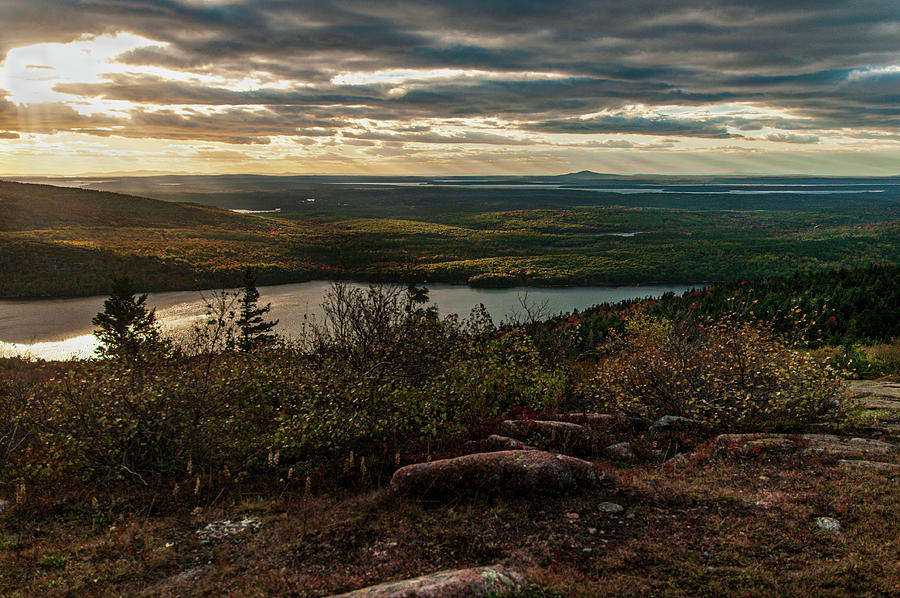 Morning in Acadia Photograph by Paul Mangold