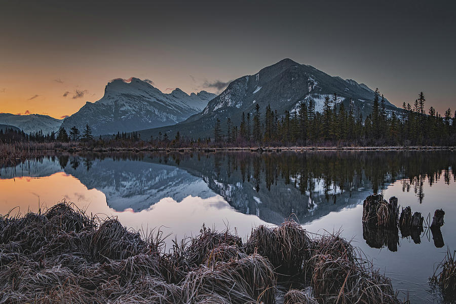 Morning in Banff National Park Photograph by Martin Pedersen
