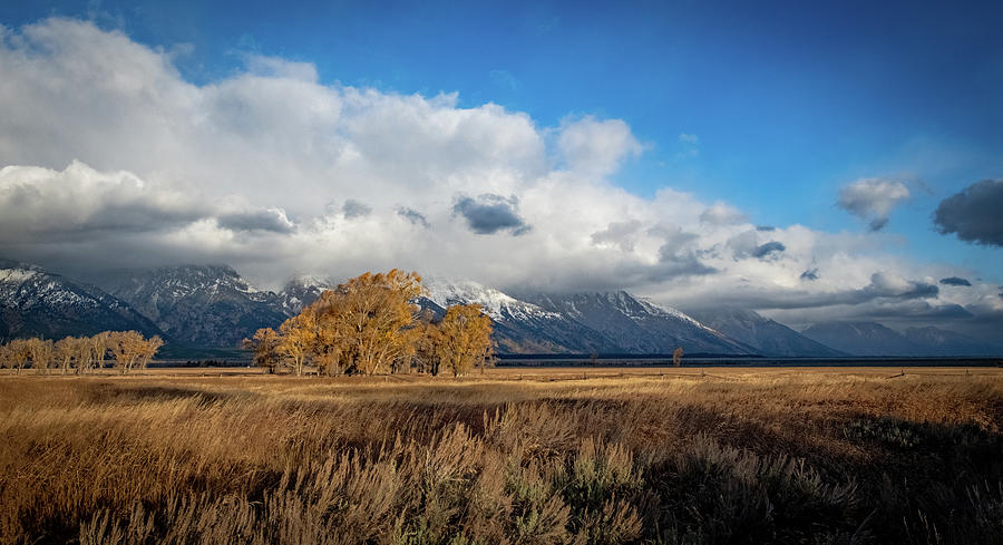 Morning in Jackson Hole Photograph by Mark Duehmig