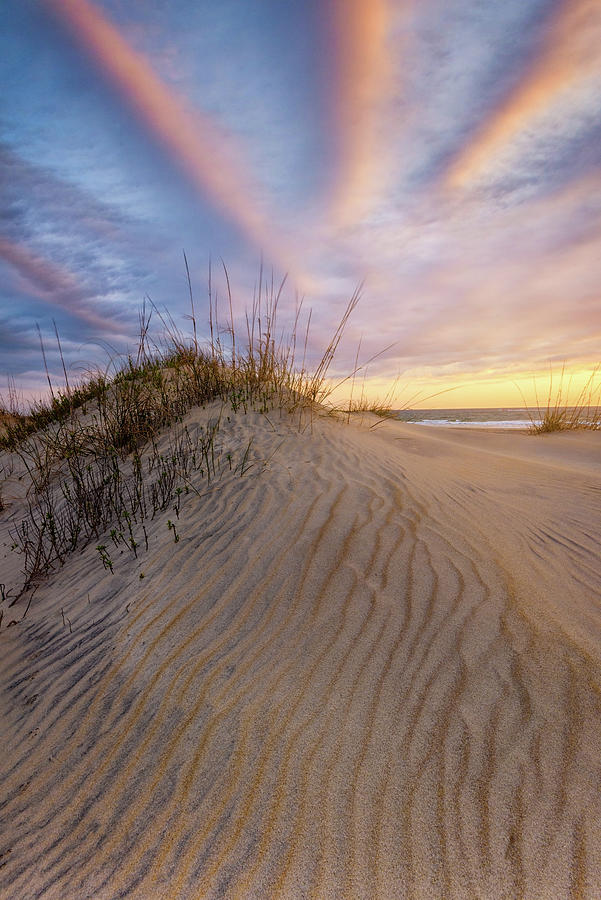 Morning in the Dunes Photograph by Kristen Wilkinson