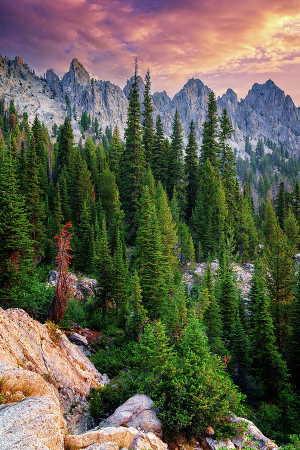 Tree Photograph - Morning in the Sawtooths II by Rick Berk