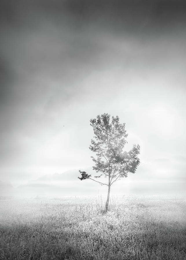 Morning Inspiration In Black And White Photograph by Jordan Hill