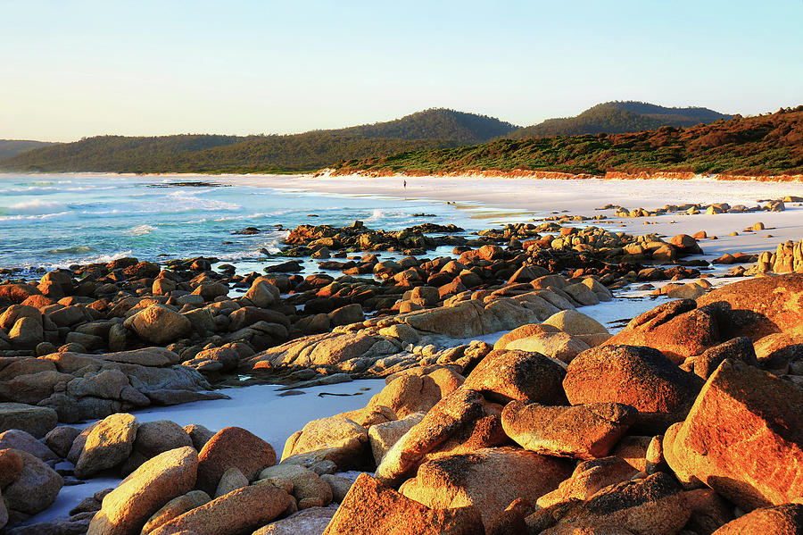 Morning Jog - Friendly Beaches, Tasmania Photograph by Lexa Harpell